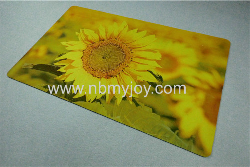  Non-woven carpetYH001P18 Flowers