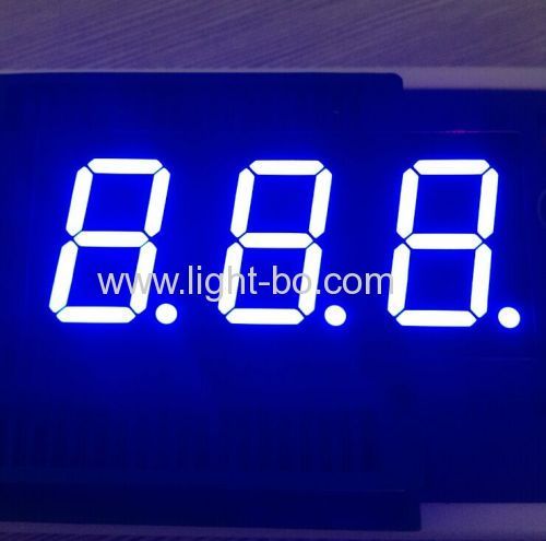 catodo comune con display a led a 7 segmenti a 3 cifre da 0,8 pollici ultra blu per indicatore digitale