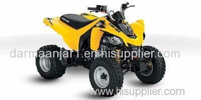 2013 Can-Am DS 250