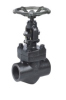 Forged Steel Globe Valves