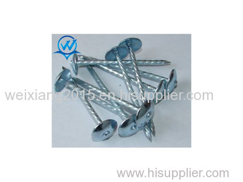 China factory offer roofing nails