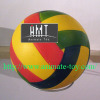 Animate Volleyball sports balls