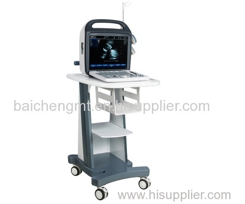 veterinary color Doppler ultrasound