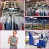 Factory Price 2015 China Women Dress OEM Manufacturer Casual Plus Size Women Fashion Bohemian Dress Factory