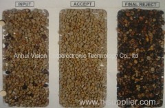 Coffee bean CCD color sorter for food processing machinery