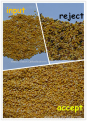 Soybean CCD color sorter/ color selector/ processing sorter