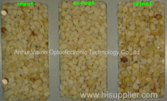 Almond CCD color sorter / High quality In-shell almond color selector/ high throughput processing sorter