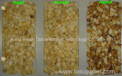 Almond CCD color sorter / High quality In-shell almond color selector/ high throughput processing sorter
