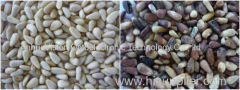 Pinenut CCD color sorter / High quality tobacco color selector/ high throughput processing sorter