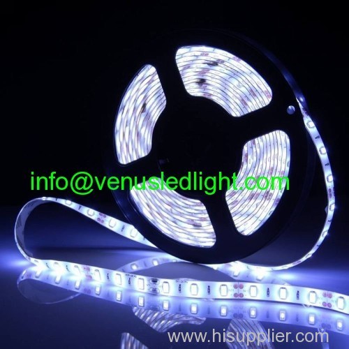 3528 5m 500cm Cool White 300 LED SMD Flexible Light Strip Lamp Waterproof DC 12V