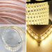 5050 Cool White AC220V Waterproof Flexible LED SMD strip ROPE Light +Plug IP65