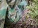 100 Gram HDPE Camouflage Waterproof Canvas Tarps for cover , heavy duty poly tarps