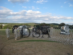 razor wire on palisade fence for security system