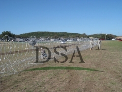 razor wire on palisade fence for security system