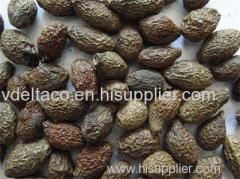 Vietnamese dried Malva nut