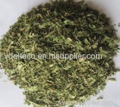 dried and powder stevia leaf