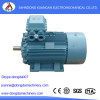YB2 Explosion-proof Electric Motor Export to African