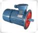 Mine explosion-proof motor from China