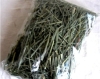 Vietnam dried lemon grass