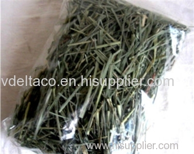 Vietnam dried lemon grass