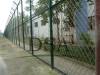 High security prison powder Coating razor barbed wire