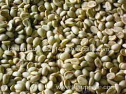 Wash Robusta Coffee Bean