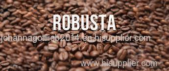 robusta roasted coffee bean