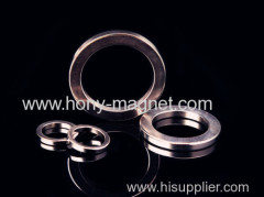 Super strong Ring Sintered neodymium permanent magnet