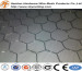 hexagonal wire netting/high quality hexagonal wire netting/high quality anping hexagonal mesh ISO9001