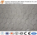 hexagonal wire netting/high quality hexagonal wire netting/high quality anping hexagonal mesh ISO9001