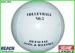 Official Size Weight Beach Volleyball Ball / Soft Touch Volleyball White