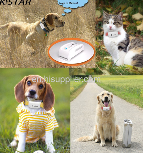 Fanshion wholesale mini pet tracker dog gps collar
