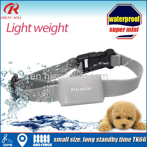 Smallest Micro Waterproof cat gps collar for animal tracker