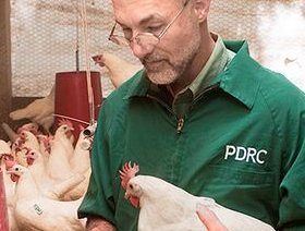 Webinar to Examine New VFD Rules for Poultry, Livestock