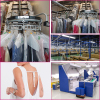 2015 Wholesale Plus Size Summer Women Fashion formal mini Bohemian Dress OEM factory