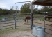 Steel Tubular Round Horse Pens Panel