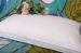 Fashionable Adult Soybean Cubic Natural Comfort Pillows With Anti - bacterial