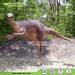 Simulation Animated Life Size Dinosaur Model for Sale