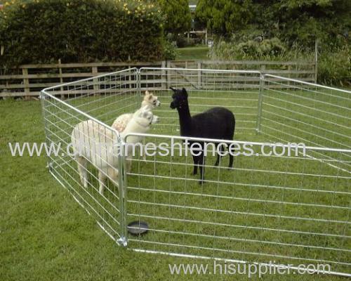 Alpaca Farm Panel Enclosure
