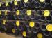 35CrMo Seamless Steel Gas Cylinder Pipe with PED ISO Certificate , Varnish Steel Piping