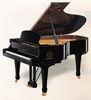 Polished Acoustic Grand Piano