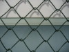 Low price PVC Coated Chain Link Fence ISO9001 manufacture supply/Decorative High Zinc Chain Link Wire Mesh Fencing