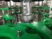 Custom Automatic Glass Beer Bottle Filling Machine with Conveying System Controls