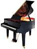Polished Acoustic Grand Piano