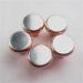Silver Alloy and Copper bimetal rivets / Silver Thermostat Contacts