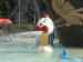 Aqua Fountains Play Structure Fiber Glass and Steel Pipe Clown Water Sprayground