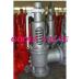 safety valve relief valve