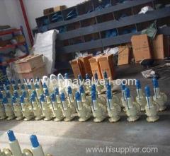 safety valve relief valve