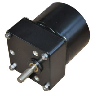 Haisheng 63TKYJ permanent magnet decelerating synchronous motor