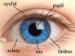 USB IR Camera Eye Detection Biometric Iris Scanner , 15-20cm Iris capture range